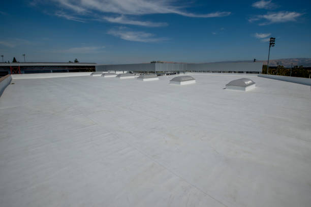 Best Roof Insulation Installation  in Frankfort, IL