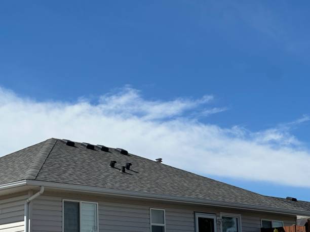 Best Rubber Roofing (EPDM, TPO)  in Frankfort, IL